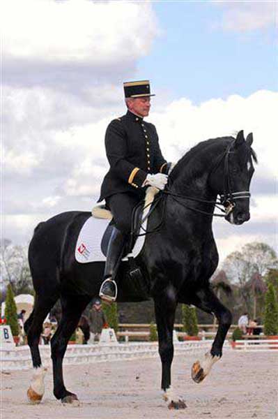 the-difference-between-classical-and-competitive-dressage-writing-of