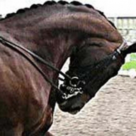 The 'Moment in time' argument to excuse horse abuse is just that, an excuse for horse abuse.