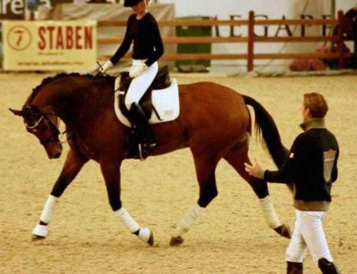 Edward Gal uses Rollkur in Dressage Training