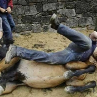 The 'Moment in time' argument to excuse horse abuse is just that, an excuse for horse abuse.