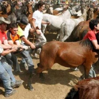 The 'Moment in time' argument to excuse horse abuse is just that, an excuse for horse abuse.