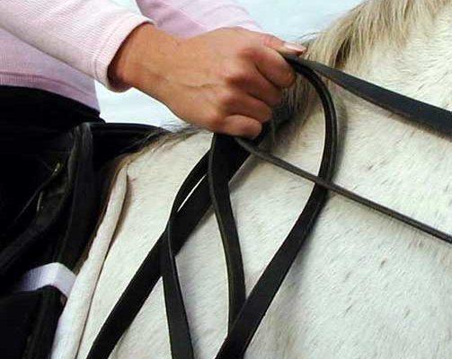 Fillis Method of Holding Double Bridle Reins