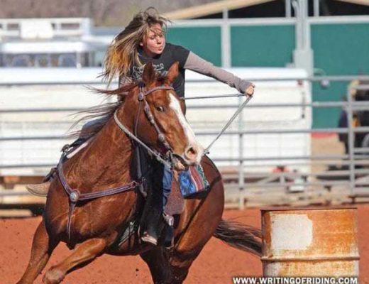 Pulling hard on curb bits laterally goes against the intended use and action of the bit. But it's normal in barrel racing and barrel racers have quite the inventive imagination when it comes to bit designs.