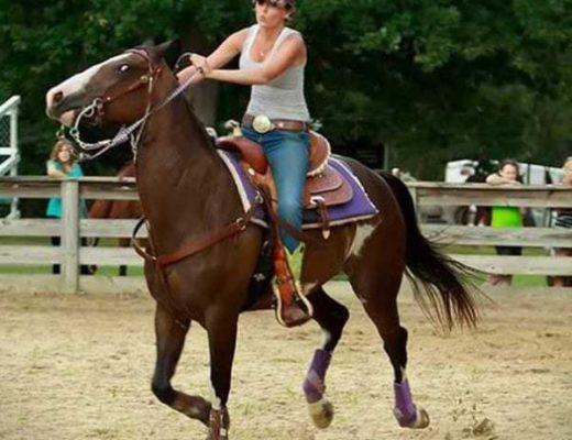 Barrel racing is abusive, hands down. Speed is the ultimate goal, no matter how much pain you have to cause in the horse to get there.