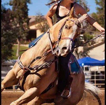 At high speeds a barrel racers tack and equipment is often made more severe.