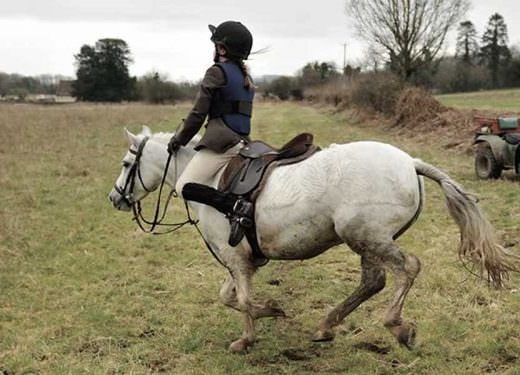 Falling off your horse is often an indication that your position in the saddle is incorrect even before you noticeably lose your balance.