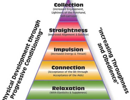 The dressage training pyramid is an excellent tool to measure your horse's training progress and to troubleshoot any problems that develop.