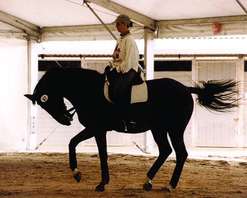 Anky van Grunsven riding Hollywood in Rollkur.