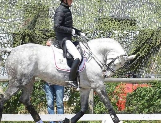 Andreas Helgstrand riding his horse in deep hyperflexion.