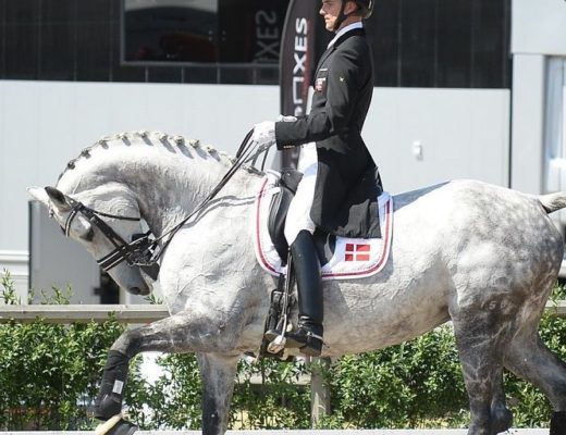 Andreas Helgstrand holding his horse in Rollkur, or hyperflexion of the neck.