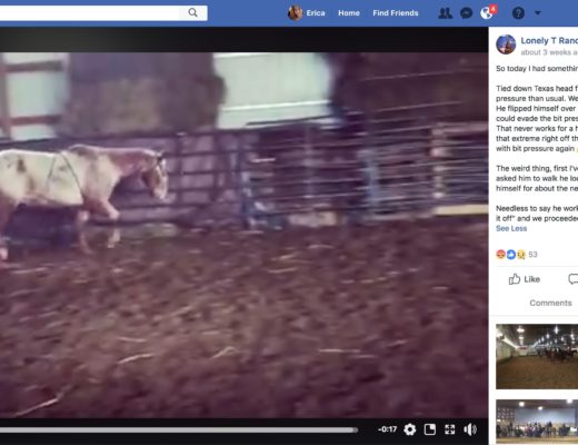 Lonely T Ranch Megan Preisler bragging about abusing a horse.